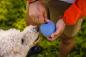 Preview: Ruffwear Huckama Toy Heliotrope Purple Preview: Ruffwear Huckama Toy Heliotrope Purple